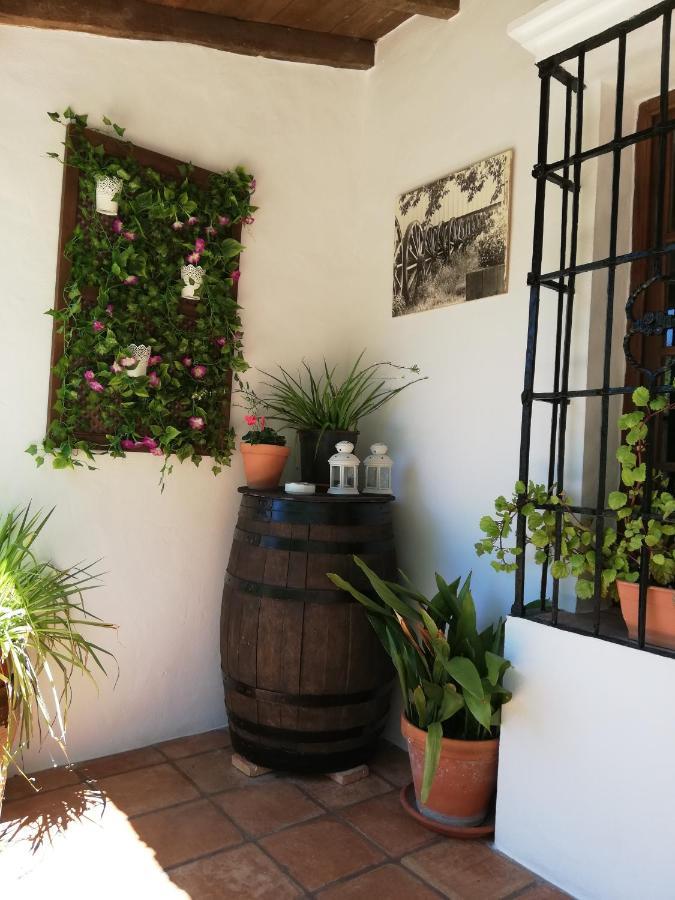 Casa Rural La Maquinilla Grazalema Buitenkant foto