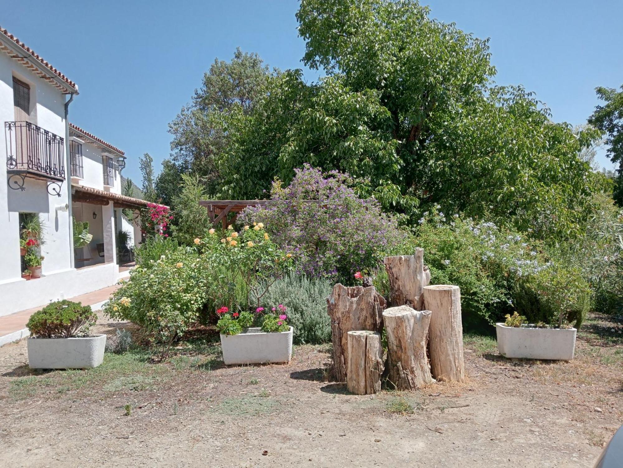 Casa Rural La Maquinilla Grazalema Buitenkant foto