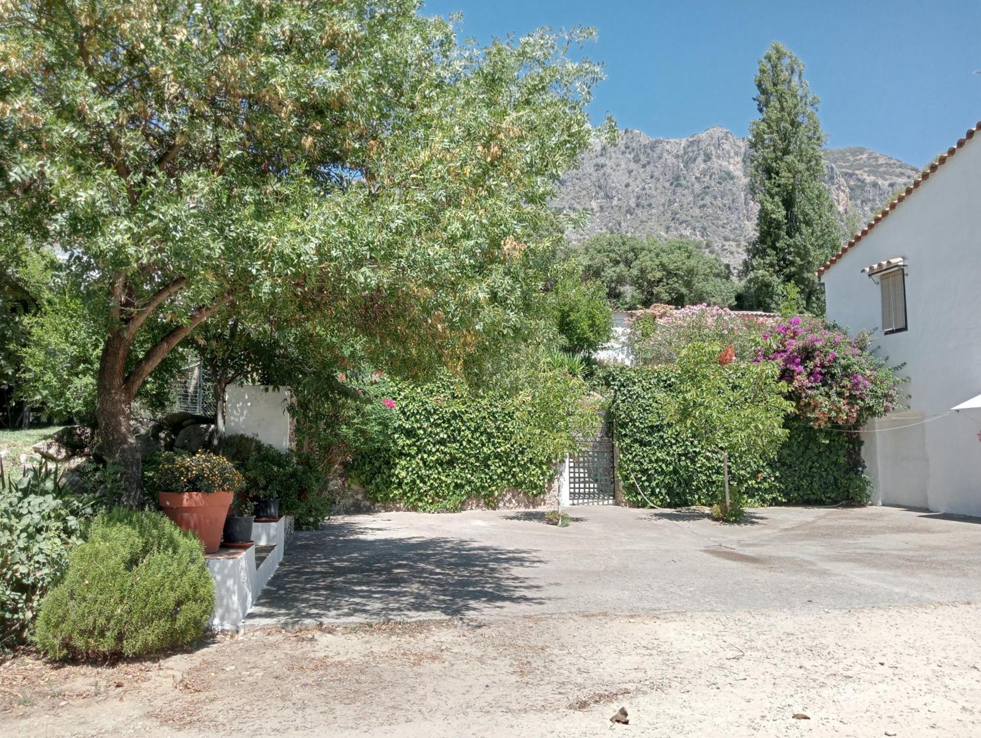 Casa Rural La Maquinilla Grazalema Buitenkant foto