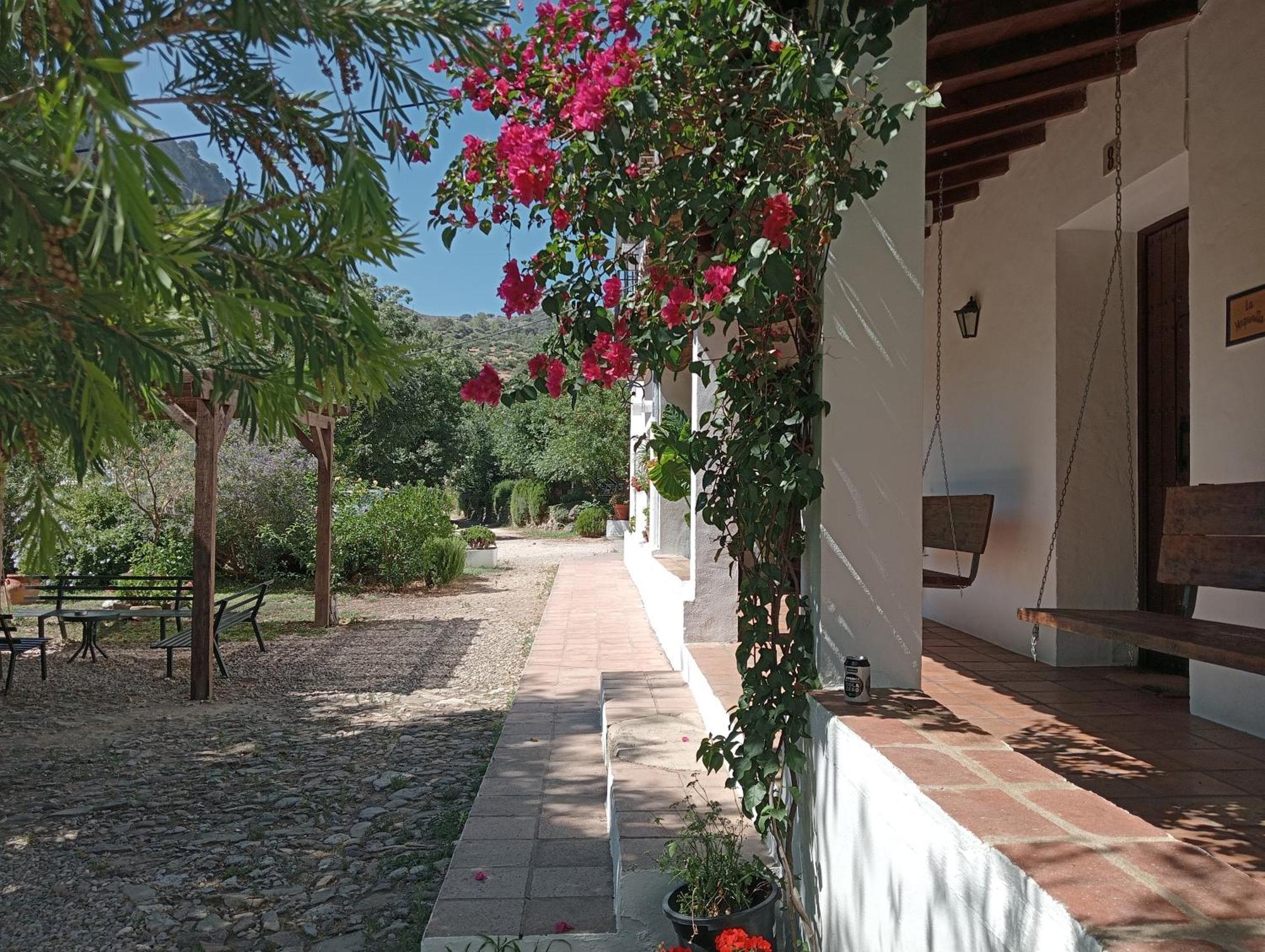 Casa Rural La Maquinilla Grazalema Buitenkant foto