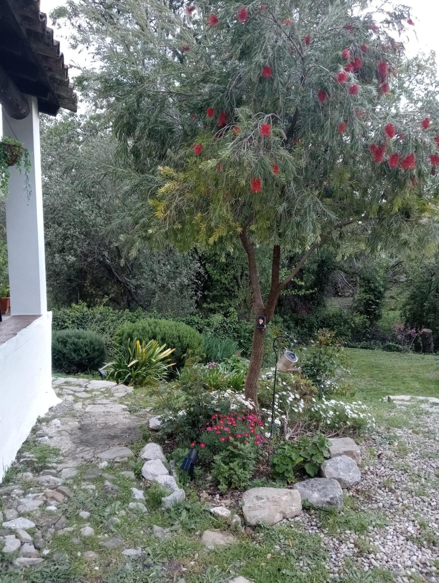Casa Rural La Maquinilla Grazalema Buitenkant foto