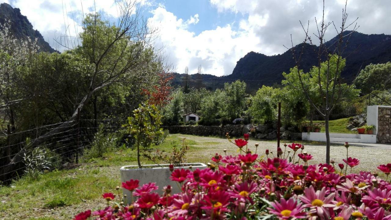 Casa Rural La Maquinilla Grazalema Buitenkant foto